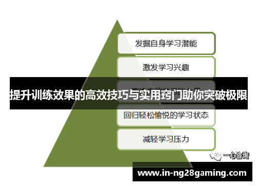 提升训练效果的高效技巧与实用窍门助你突破极限