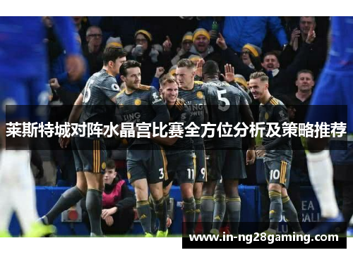 莱斯特城对阵水晶宫比赛全方位分析及策略推荐