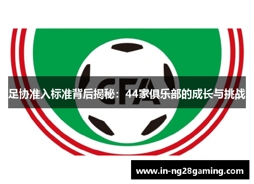 足协准入标准背后揭秘:44家俱乐部的成长与挑战