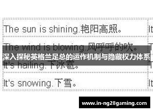 深入探秘英格兰足总的运作机制与隐藏权力体系
